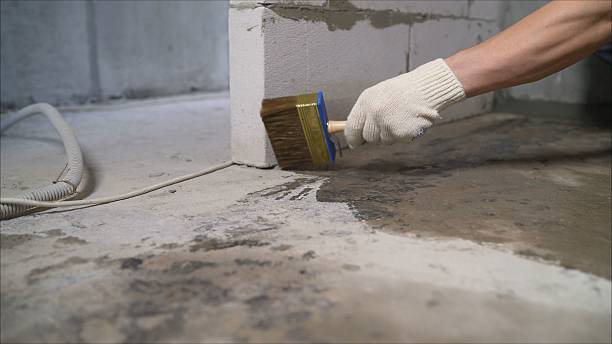 24/7 Emergency Crawl Space Encapsulation experts in North Collins, NY
